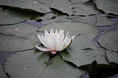 本周Fami通游戏评分出炉 《狙击精英5》获32分